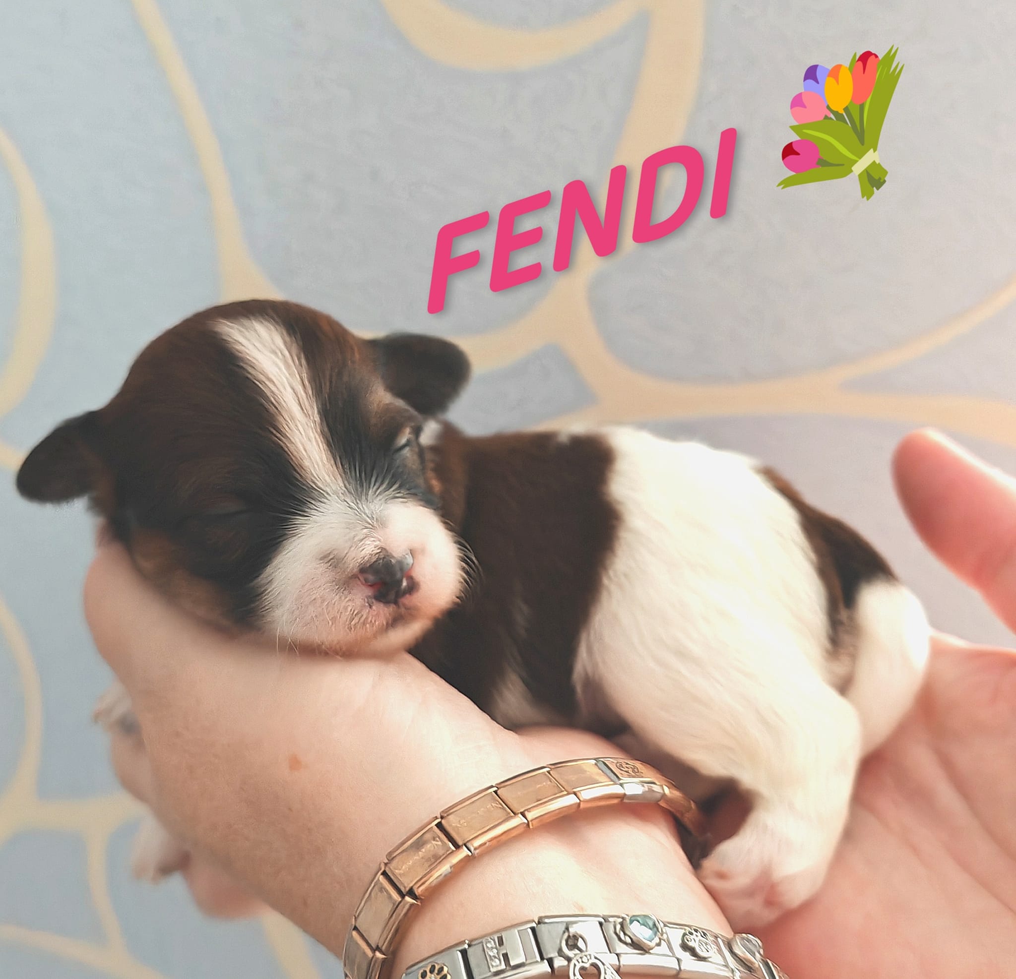 Fendi